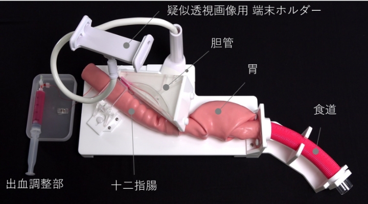 ERCP／ESTモデルのセッティング、構造の画像