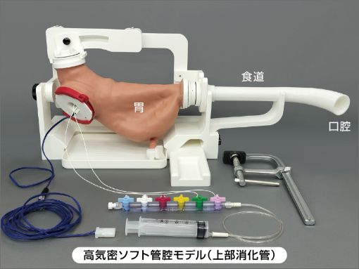 高気密ソフト管腔モデル(上部消化管)の画像
