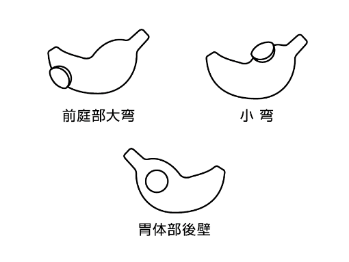 上部 学習部位の画像