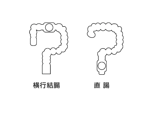 下部 学習部位の画像
