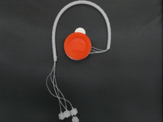 クリップ用潰瘍モデルの製品画像